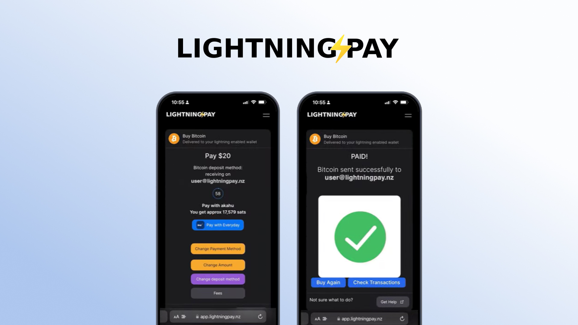 The Bitcoin Lightning Network & Lightning Pay