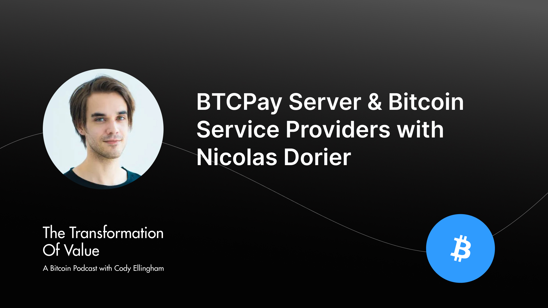 BTCPay Server & Bitcoin Service Providers with Nicolas Dorier