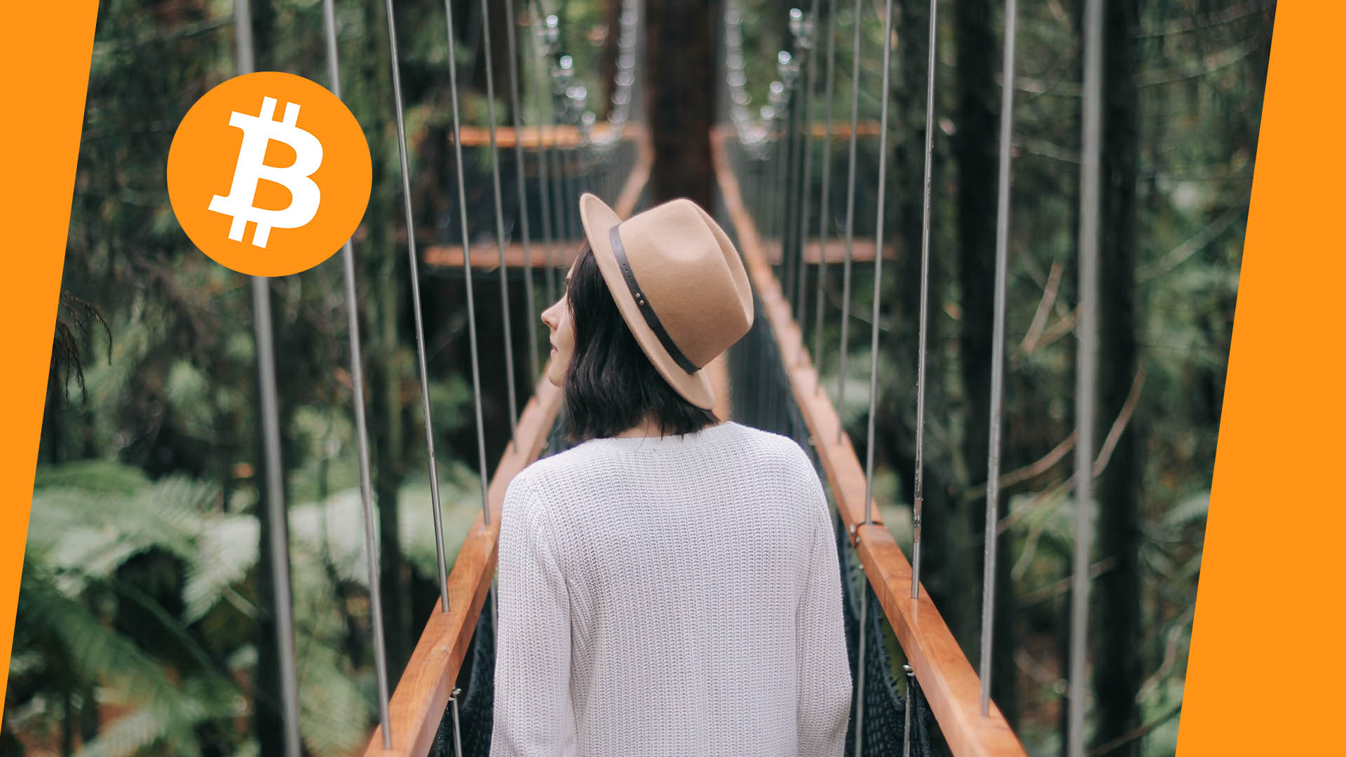What Can a Bitcoin Treasury Mean for New Zealand Businesses?